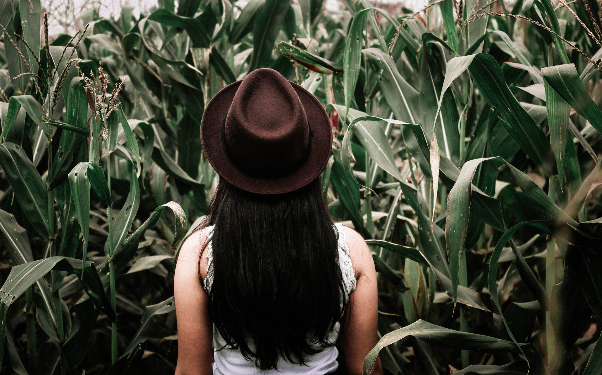 7 Ways Your Corporate Culture Could Be Blocking Innovation